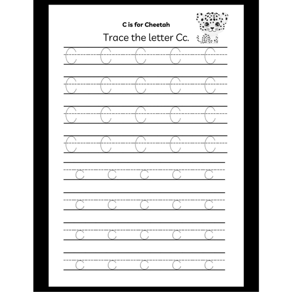 Alphabet Safari Preschool Workbook |ABC Letter Tracing | Early Learning Ages 3–5 - Picture 3 of 5